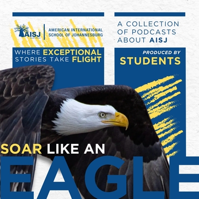 Soar Like An Eagle podcast channel artwork