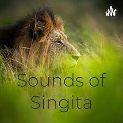 Sounds of Singita podcast channel artwork